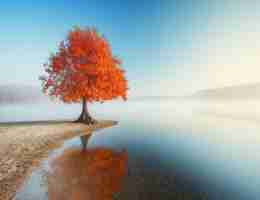 高﻿级‍语‍音‍识‌别​教‍程​